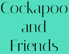 Winner small image - Cockapoo and Friends